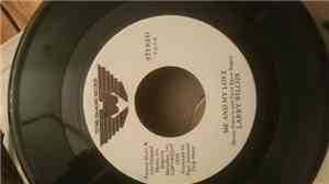 Larry Wilcox  - Me and my love