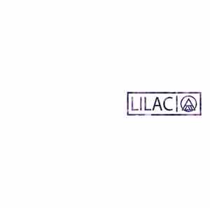 Azami  - Lilac