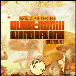Beatz Projekted - Elektronik Wunderland