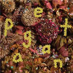 PWR BTTM - Pageant