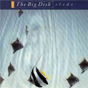 The Big Dish - Slide