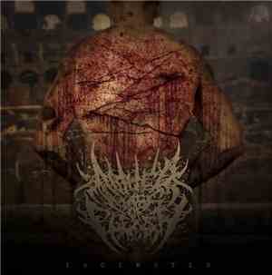 Abated Mass Of Flesh - Lacerated