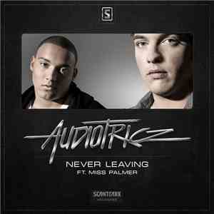 Audiotricz Feat. Miss Palmer - Never Leaving