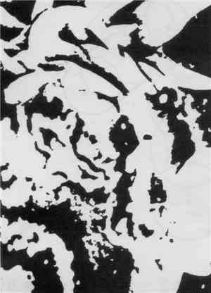 Merzbow - Le Cuisinier