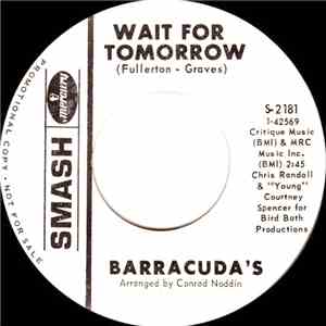 The Barracuda's - No Matter What You Do