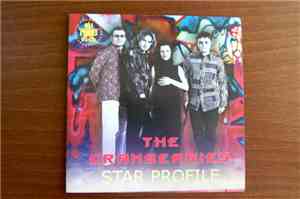 The Cranberries - Star Profile