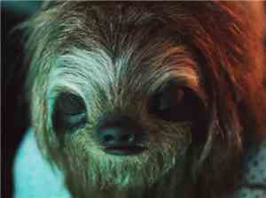Dysphemic - Stoner Sloth