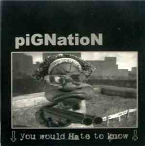 Pignation - You Would Hate To Know