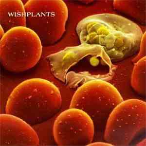 Wishplants - Coma