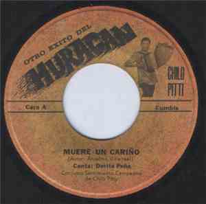Conjunto Sentimiento Campesino De Chilo Pitty - Muere Un Cariño