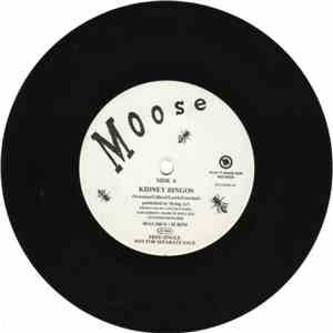 Moose  - Kidney Bingos / Courtyard