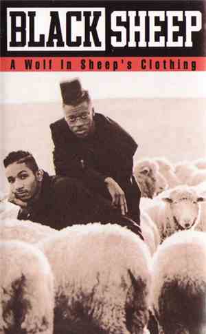 Black Sheep - A Wolf In Sheep's Clothing