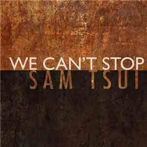 Sam Tsui - We Can't Stop (Acoustic)