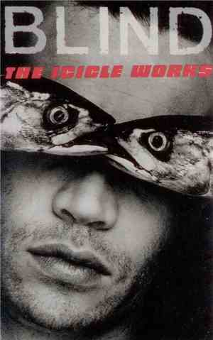 The Icicle Works - Blind