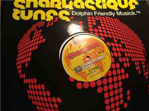 DJ Shark - Never Let It Go