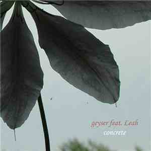 Geyser - Concrete