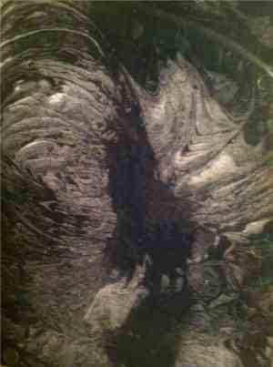 Self-Shadowing Prey / Lavas Magmas - Tour 2013