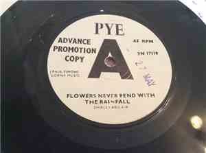 Shirley Abicair - Flowers Never Bend With The Rainfall