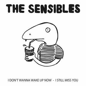 Ever Coming Hair, The Sensibles - Ever Coming Hair/The Sensibles Split Ep