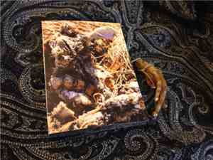 Lost Trail / DOR - Tape #12