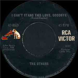 The Others  - I Can't Stand This Love, Goodbye / Until I Heard It From You