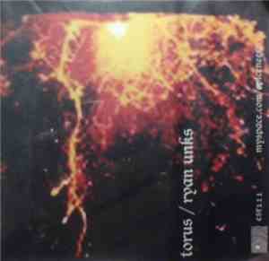 Torus , Ryan Unks - Tautologies/Recombinance
