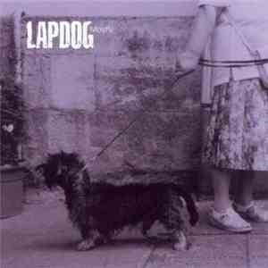 Lapdog  - Mayfly