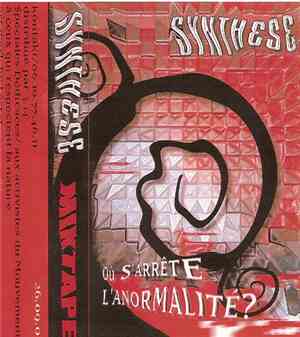 Synthese - Ou S'Arrete L'Anormalité ?