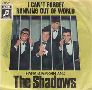 The Shadows - I Can't Forget