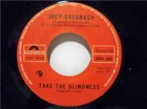 Joey Gregrash - Take The Blindness