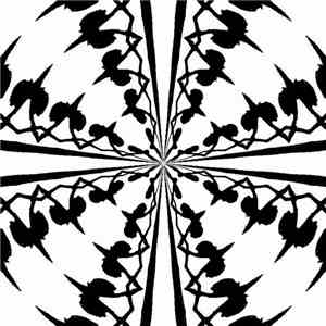 Tyrant Flycatcher / ZIZANI - Split
