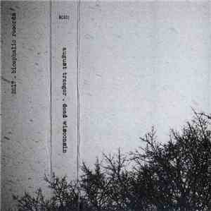 August Traeger - Dead Wisconsin