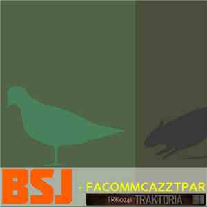 BSJ - Facommcazztpar