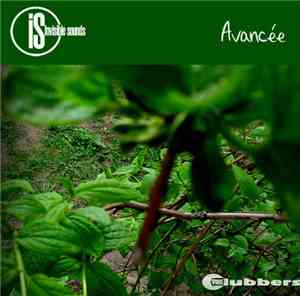 Invisible Sounds - Avancée