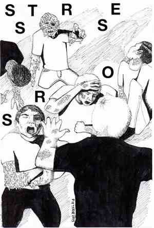 Stressors - Summer Tape 2013