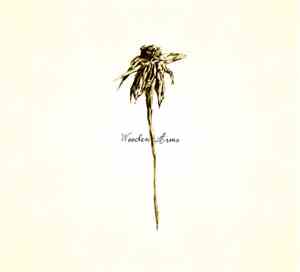 Patrick Watson  - Wooden Arms