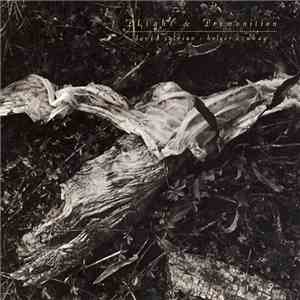 David Sylvian + Holger Czukay - Plight & Premonition