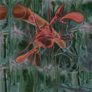 Peverelist - Jarvik Mindstate