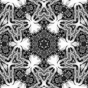Ravcan - Untitled One