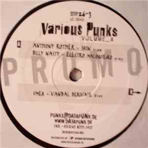 Various - Various Punks Volume_A