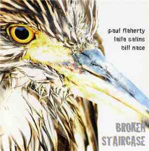 Paul Flaherty / Laila Salins / Bill Nace - Broken Staircase