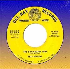 Billy Wallace  - The Sycamore Tree