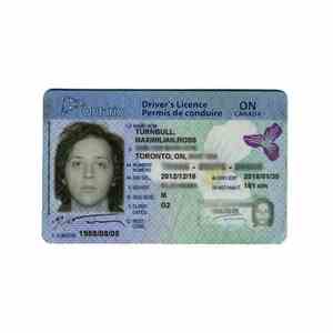 Darlene Shrugg - Freedom Comes In A Plastic Card
