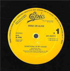 Dead Or Alive - Something In My House (Mortevicar Mix)