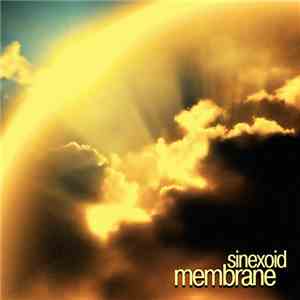 Sinexoid - Membrane