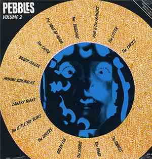 Various - Pebbles Vol. 2