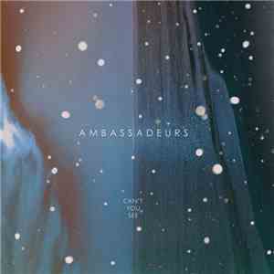 Ambassadeurs  - Can't You See