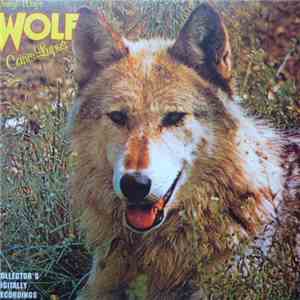 Darryl Way's Wolf - Canis Lupus