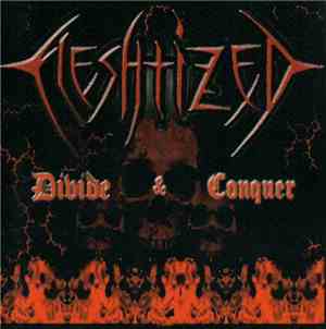Fleshtized - Divide And Conquer