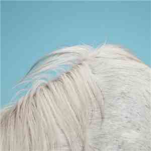 Widowspeak - All Yours